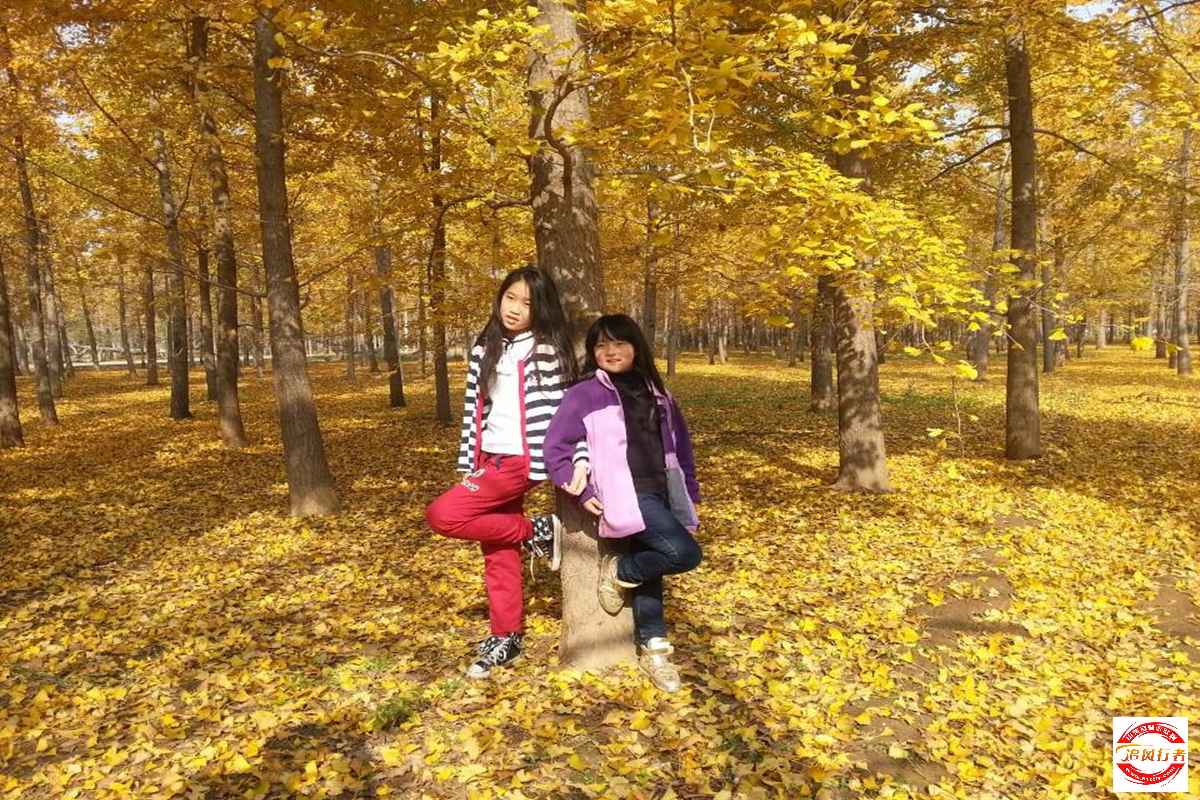 QQͼƬ20131112095849.jpg