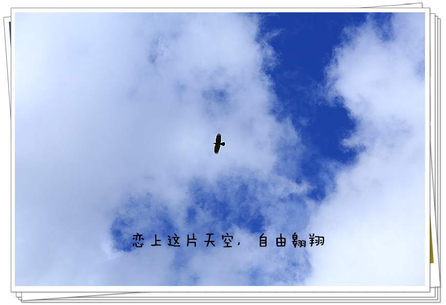 1U1A0731_.jpg