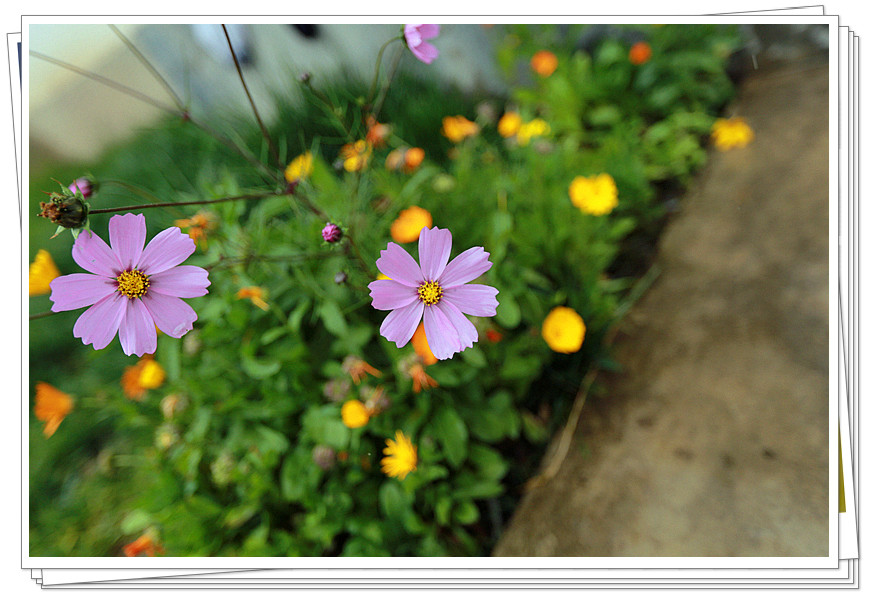 1U1A0837_.jpg
