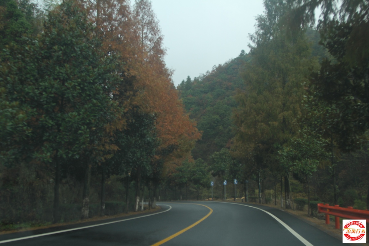 IMG_4521.jpg