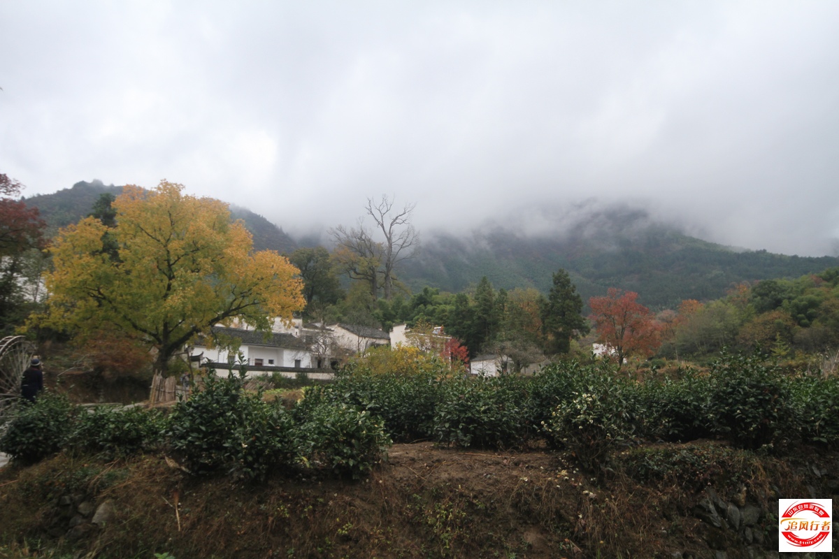 IMG_4644.jpg
