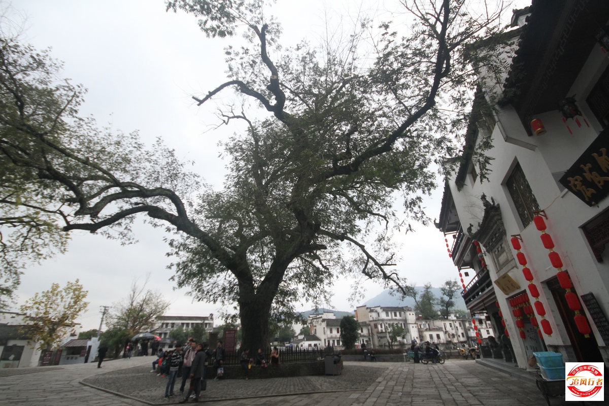 IMG_4786.jpg