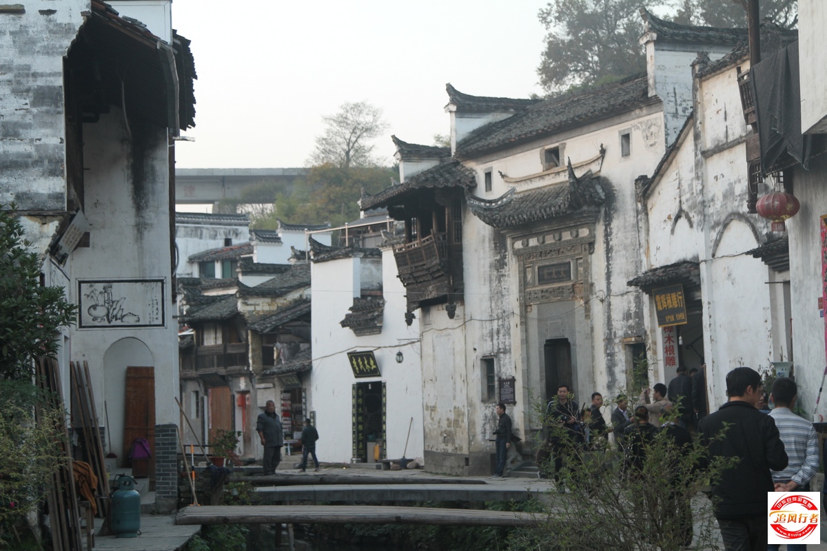 IMG_4941.jpg