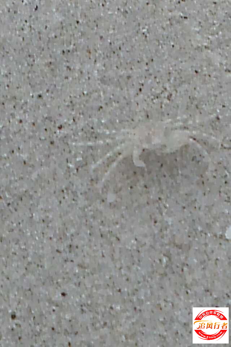 QQͼƬ20131122103914.jpg