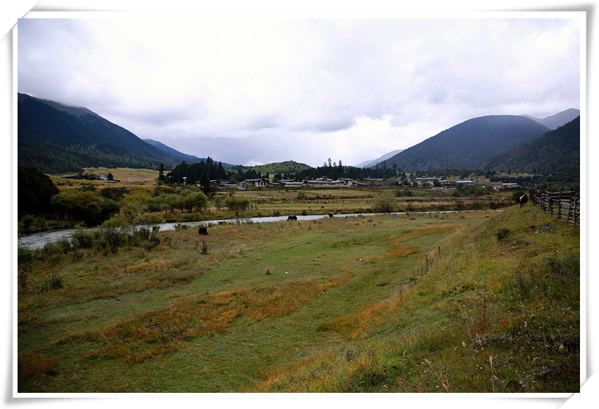 1U1A2532_.jpg