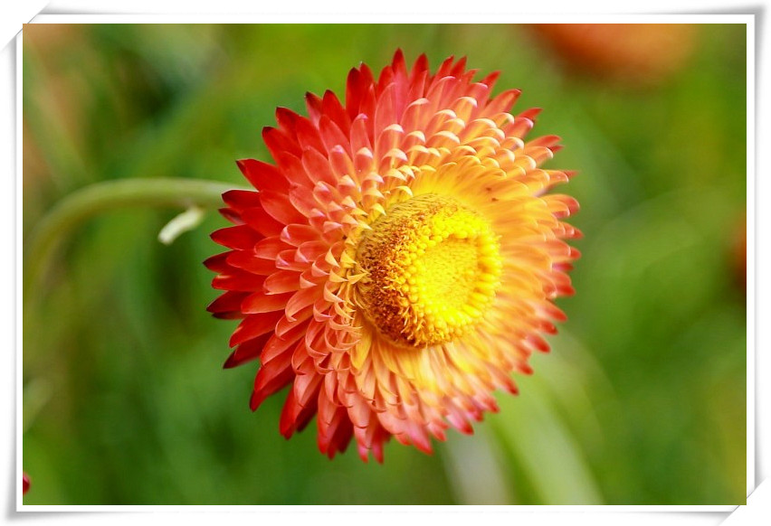 1U1A3734_.jpg