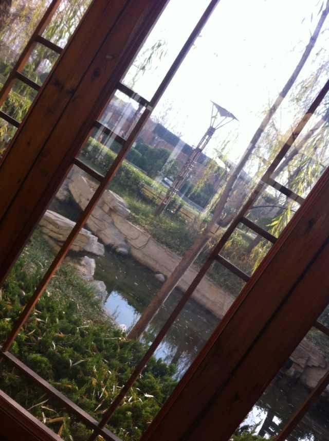 QQͼƬ20131203091644.jpg