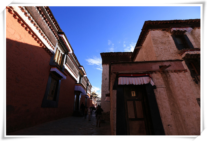 1U1A4949_.jpg