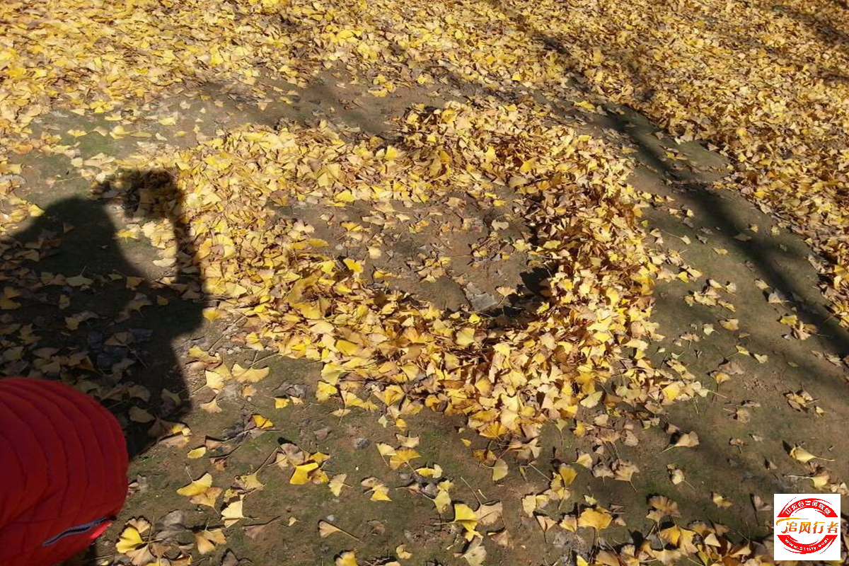 QQͼƬ20131118093055.jpg