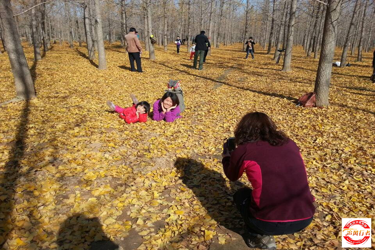 QQͼƬ20131118093045.jpg