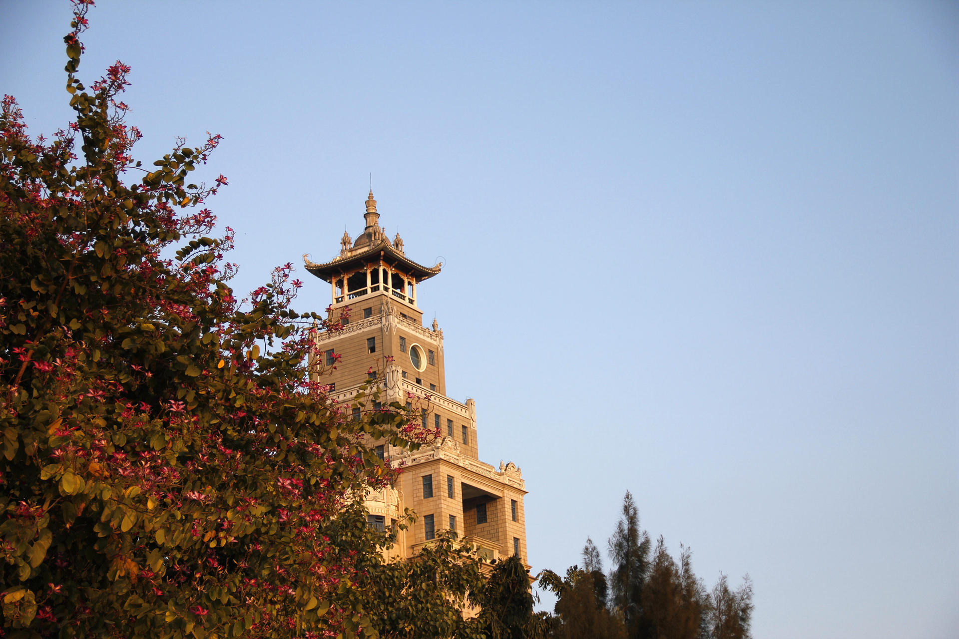 _MG_8960.JPG