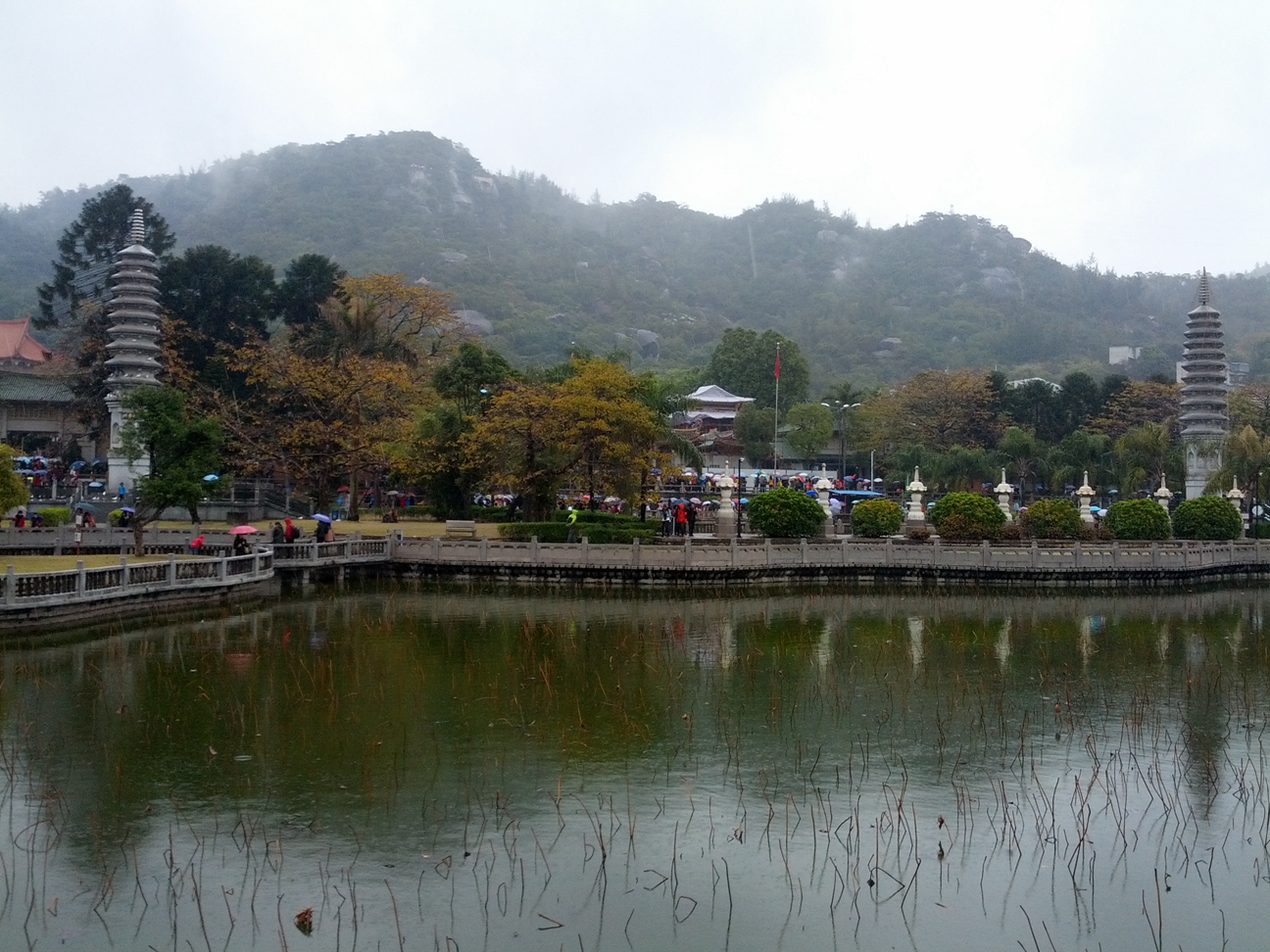 IMG_20140205_113203.jpg