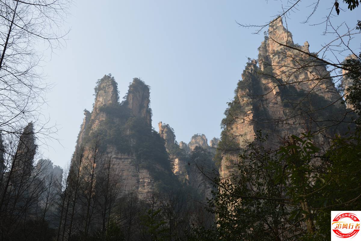 DSC_0239.JPG