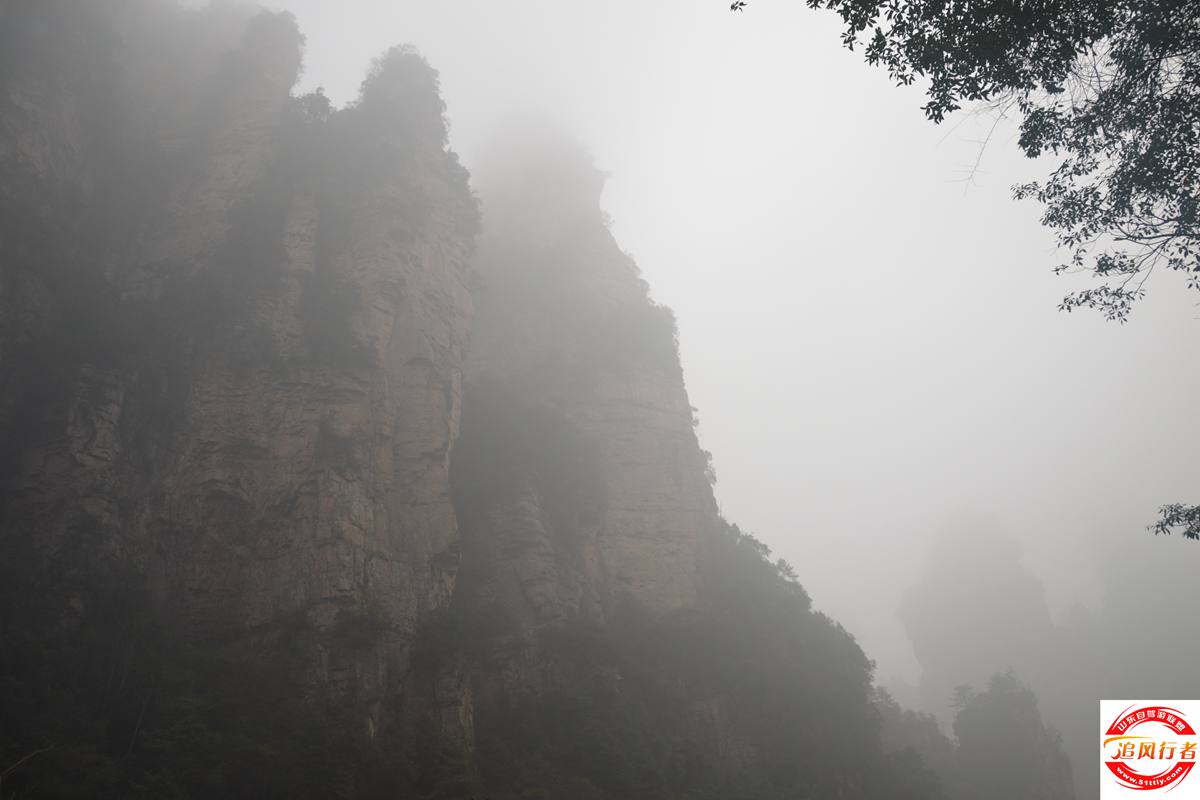 DSC_0305.JPG