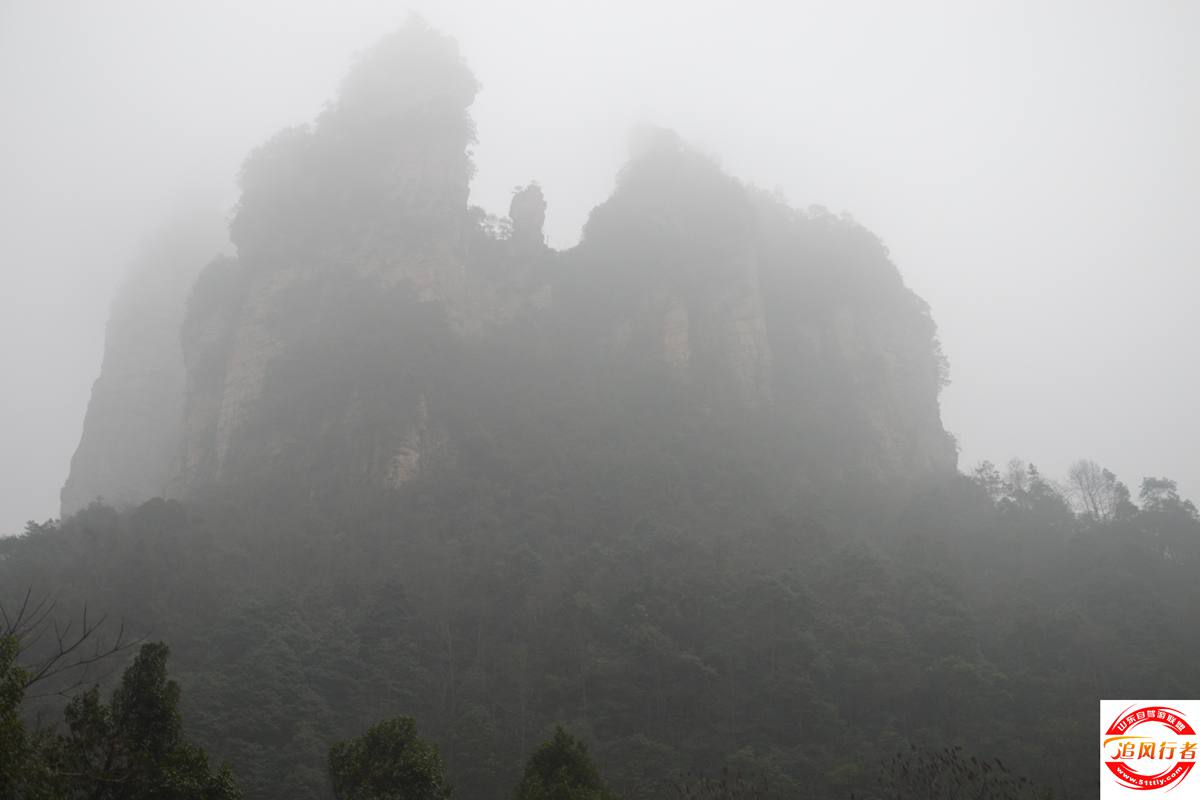 DSC_0308.JPG
