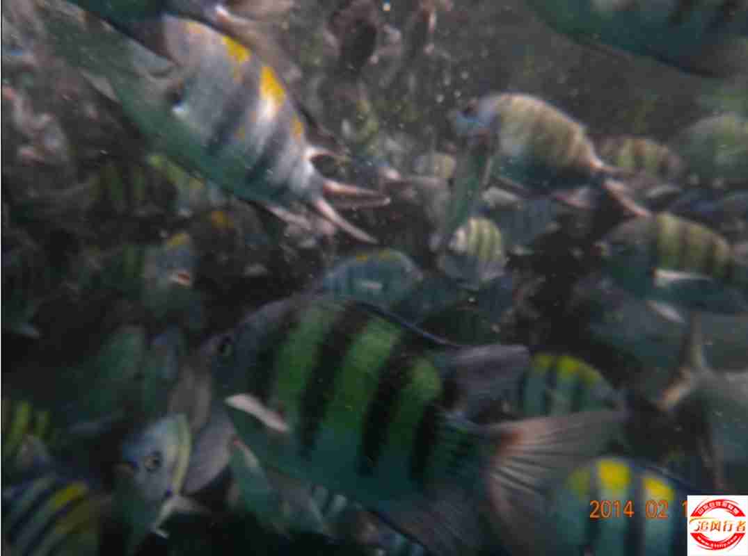 QQͼƬ20140217153600.jpg