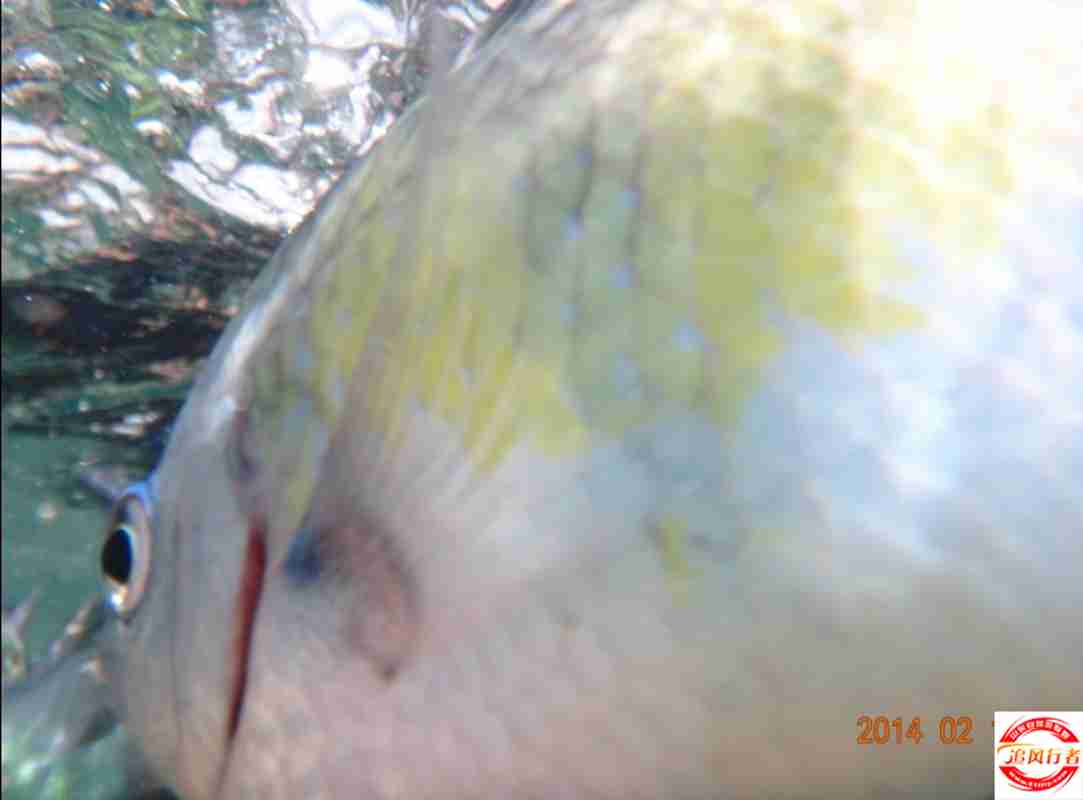 QQͼƬ20140217154207.jpg
