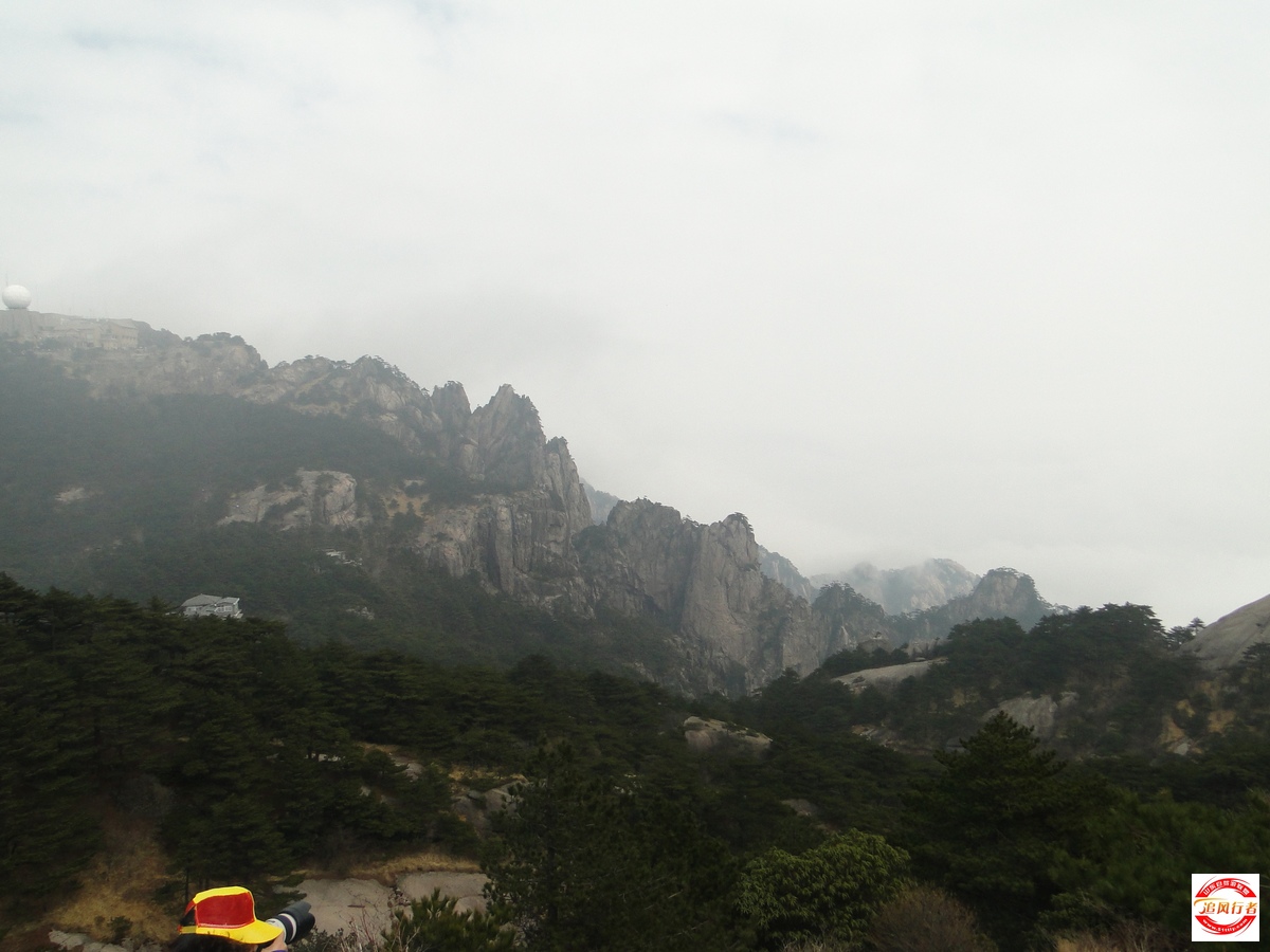DSC04981.jpg
