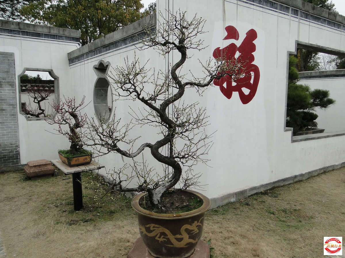 DSC05053.jpg