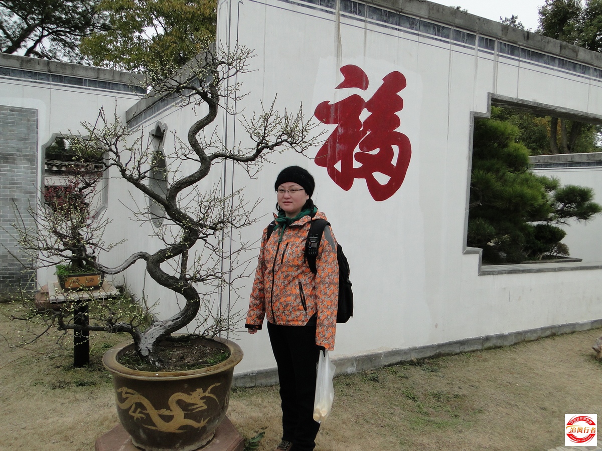 DSC05056.jpg