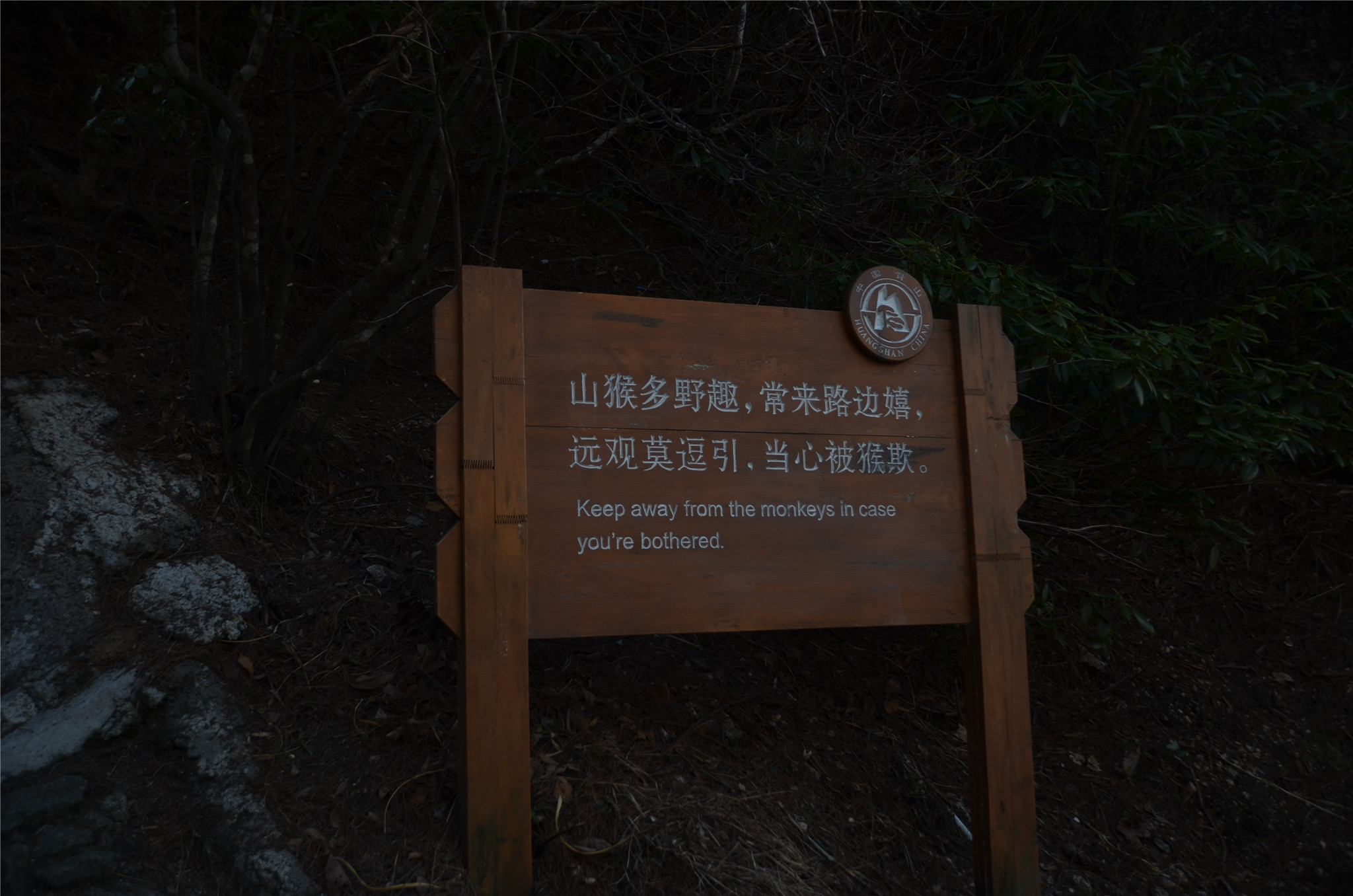 DSC_4621.jpg
