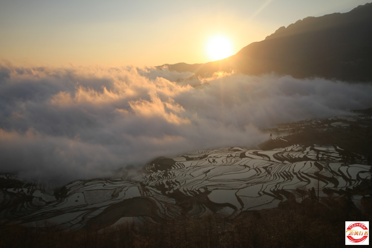 IMG_1736.jpg