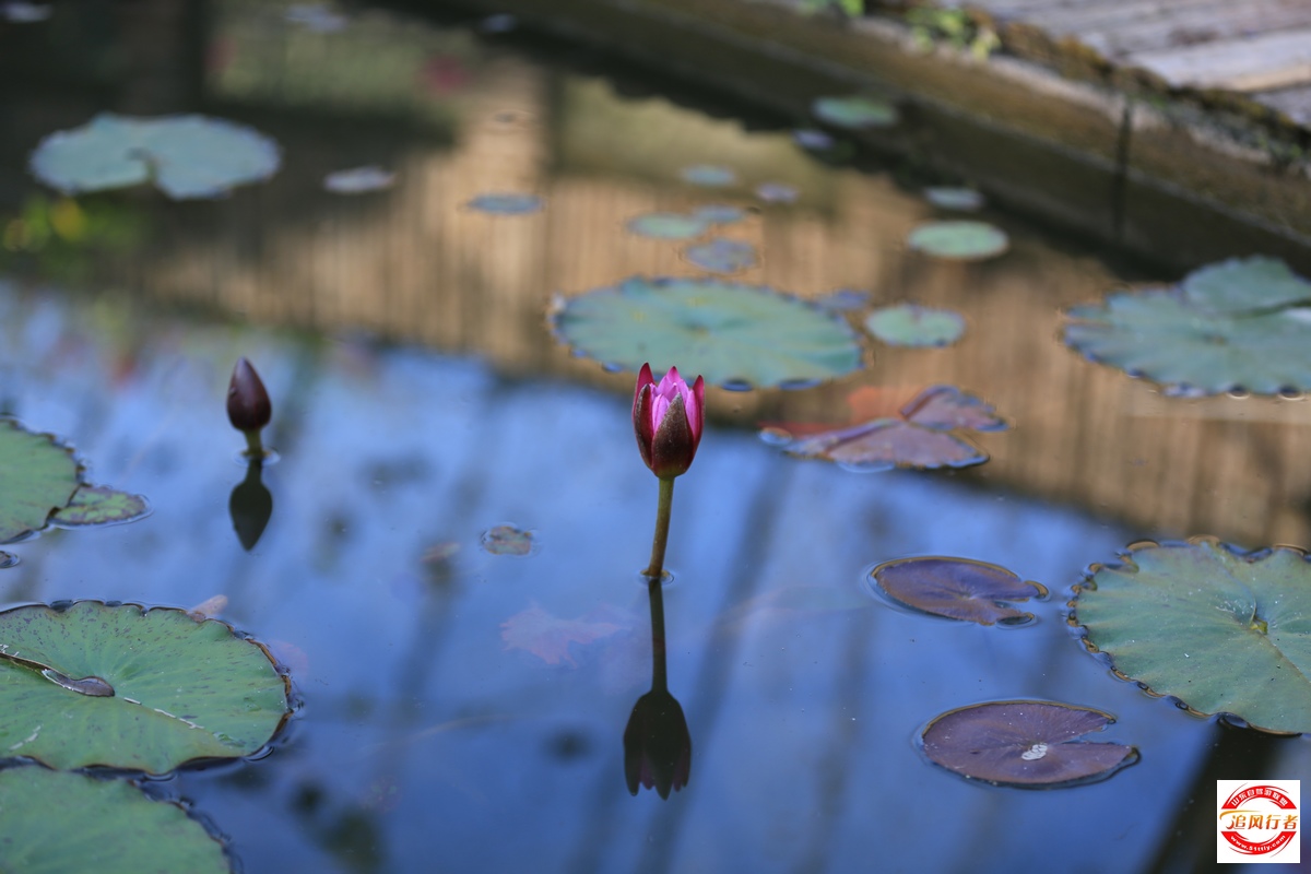1U1A6400.jpg