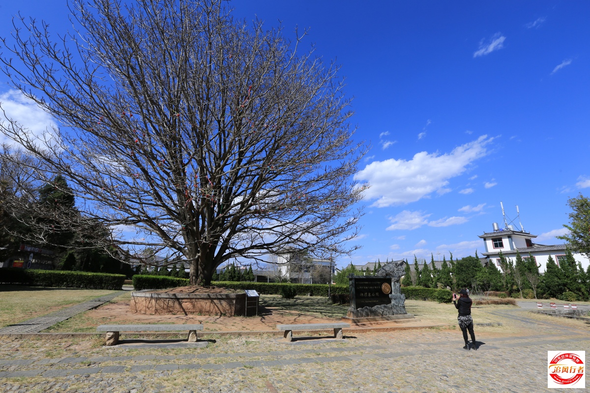 1U1A7160.jpg