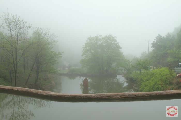 IMG_8427.jpg