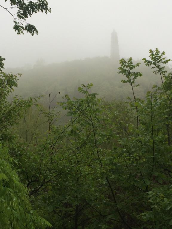 IMG_0338.JPG