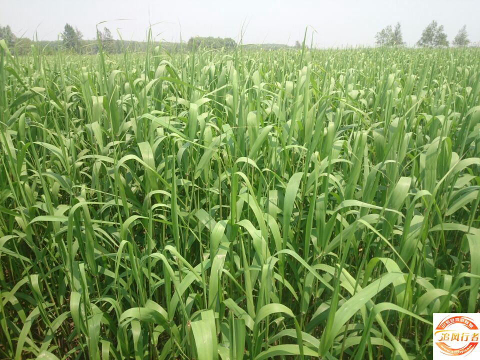 QQͼƬ20140504110857.jpg