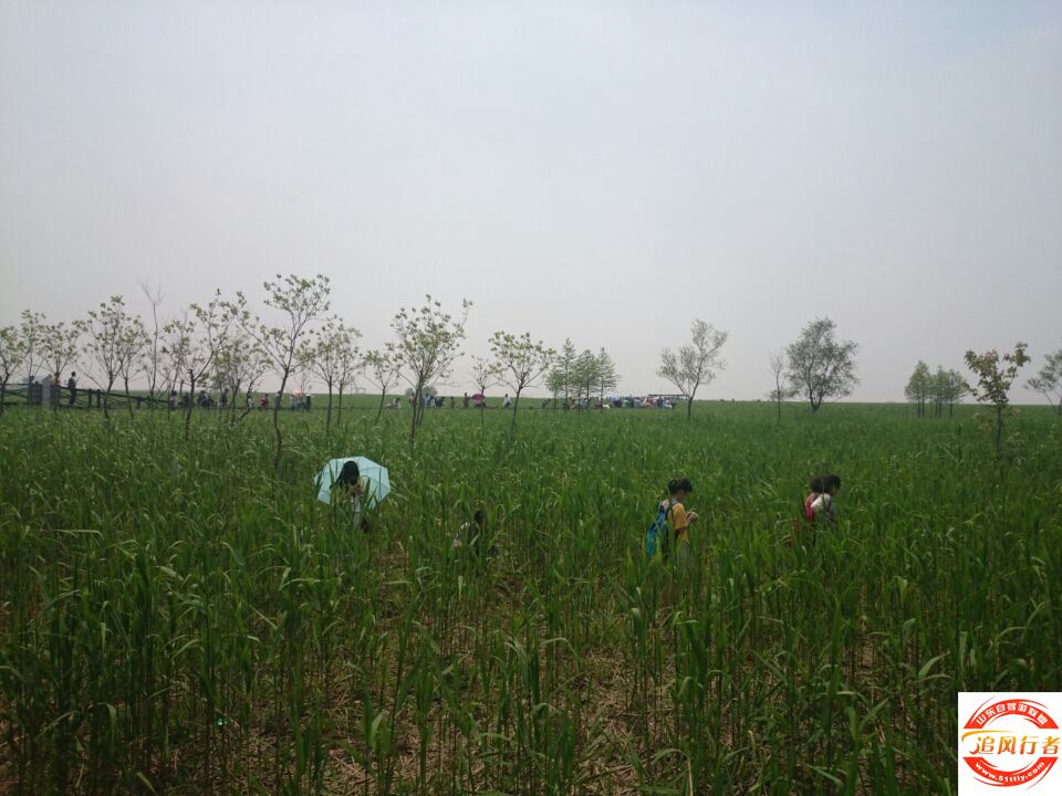 QQͼƬ20140504110854.jpg