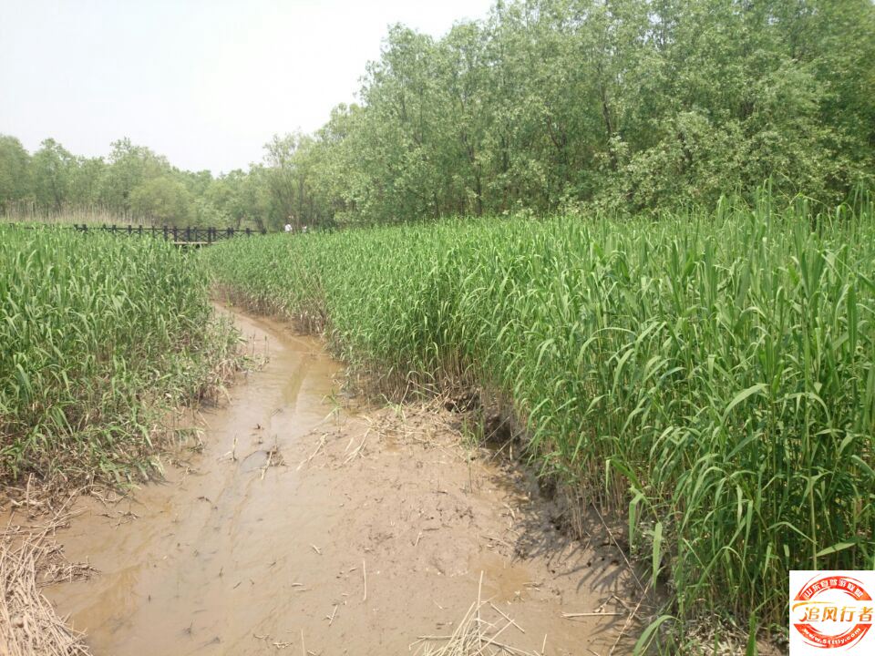 QQͼƬ20140504110908.jpg