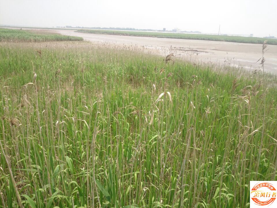 QQͼƬ20140504110917.jpg