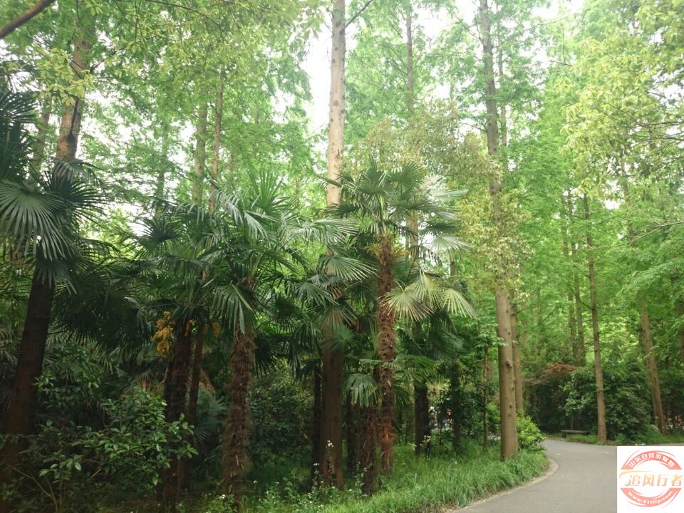 QQͼƬ20140504110938.jpg