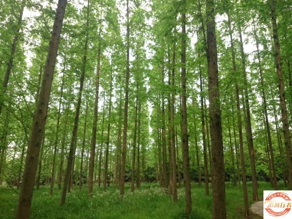 QQͼƬ20140504111048.jpg