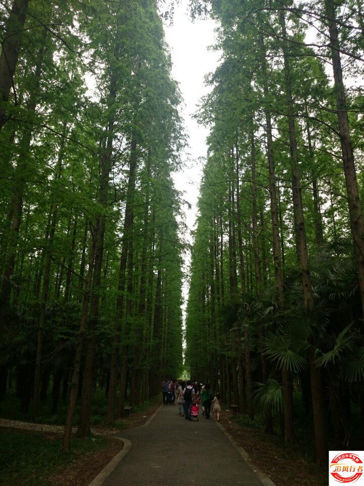 QQͼƬ20140504111024.jpg