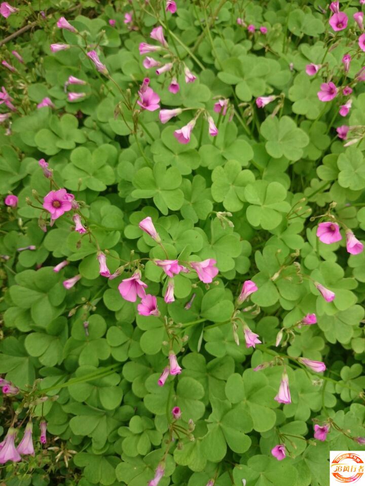 QQͼƬ20140504110952.jpg