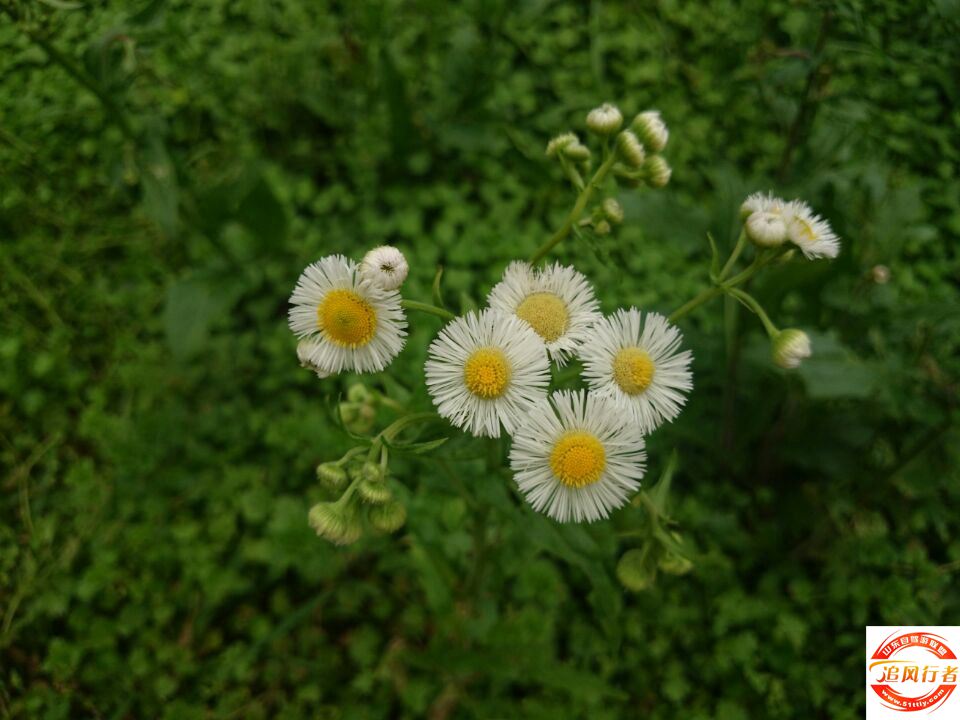 QQͼƬ20140504111010.jpg