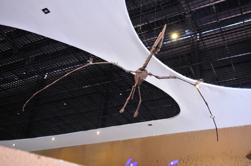 nEO_IMG_DSC_4045.jpg