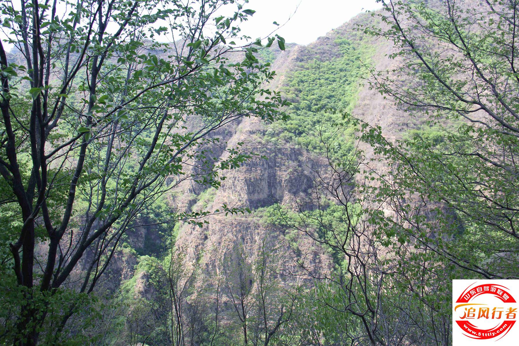 IMG_2772.jpg