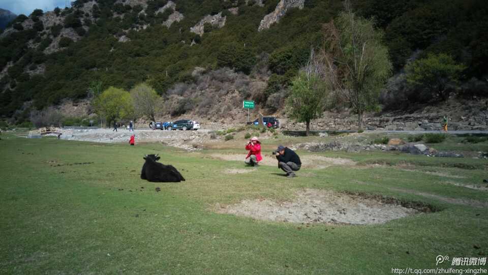 2000 (108).jpg