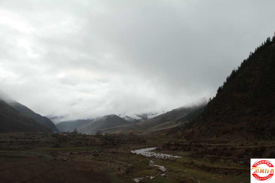 IMG_2197.jpg