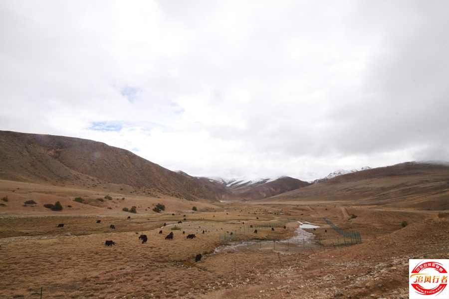IMG_2264.jpg