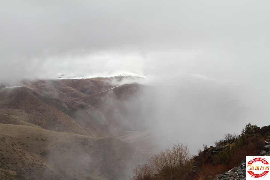 IMG_2290.jpg