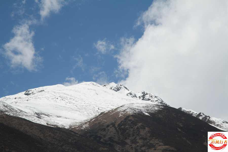 IMG_3687.jpg