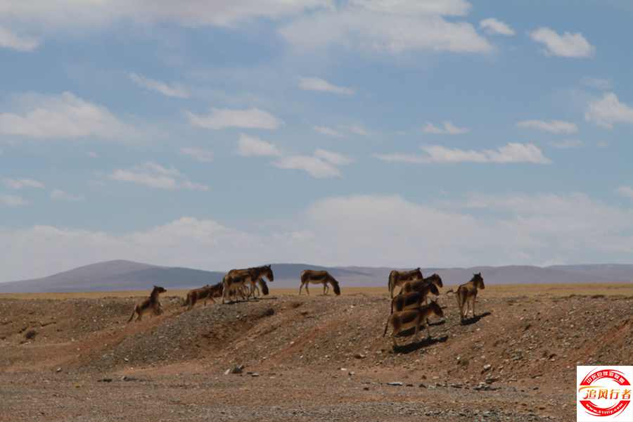 IMG_7066.JPG