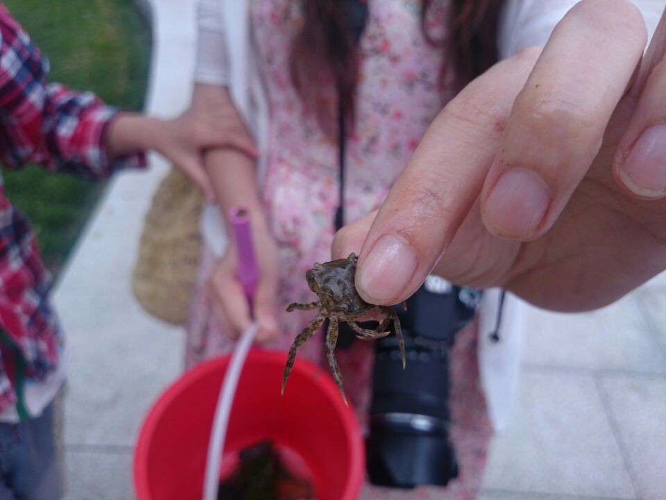 QQͼƬ20140603115511.jpg