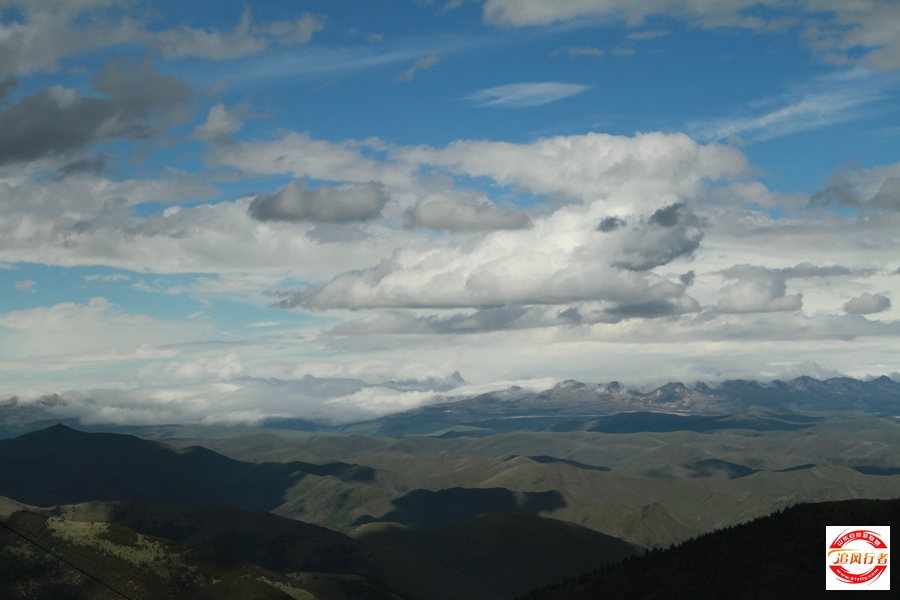 IMG_9598.jpg
