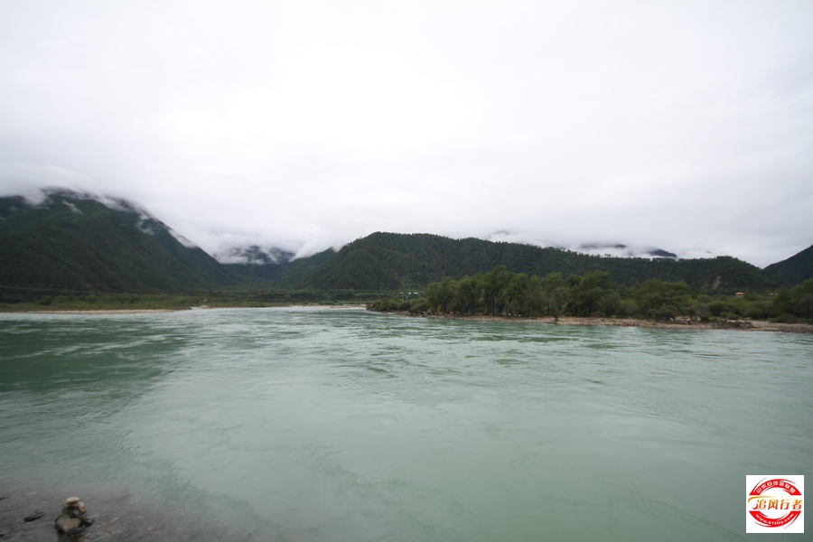 IMG_1503.jpg